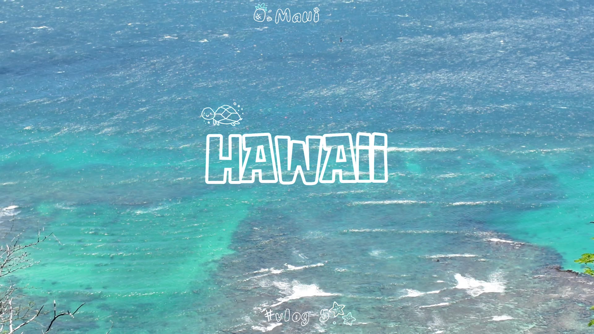 First frame from Hawaii Vlog Part 2